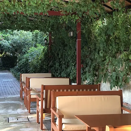 公寓式酒店 十大公寓酒店