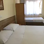 تين الفندقية فتحية